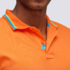 Brice Polo - Thumbnail Image 1